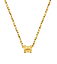 Cargar imagen en el visor de la galería, PEAGN0001903_01