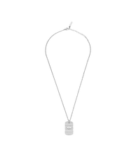 Carica l'immagine nel visualizzatore di Gallery, PEAGN0033301_01