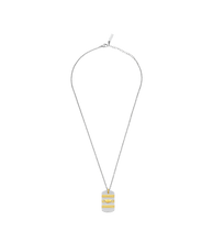 Carica l'immagine nel visualizzatore di Gallery, PEAGN0033302_01