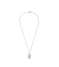 Carica l'immagine nel visualizzatore di Gallery, PEAGN0033304_01