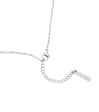 Carica l'immagine nel visualizzatore di Gallery, PEAGN0033304_03