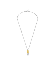 Charger l'image dans la galerie, PEAGN0034103_01