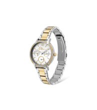 Lade das Bild in den Galerie-Viewer, PL16043BSTG04M_02