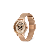 Load image into Gallery viewer, PL16074MSR32MM_02