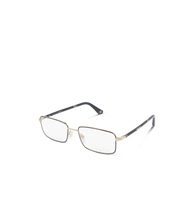 Load image into Gallery viewer, VPLA49 550301_02