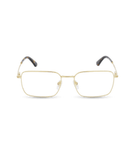 Load image into Gallery viewer, VPLG69 530300_01