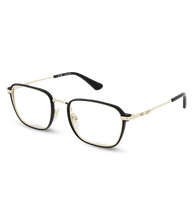 Load image into Gallery viewer, VPLG76 510300_02