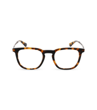 Load image into Gallery viewer, VPLL66 500C10_01